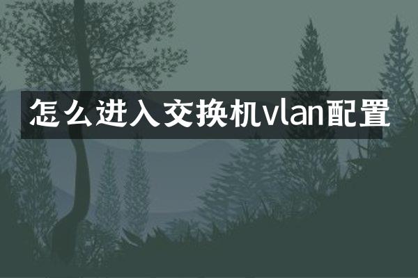 怎么进入交换机vlan配置