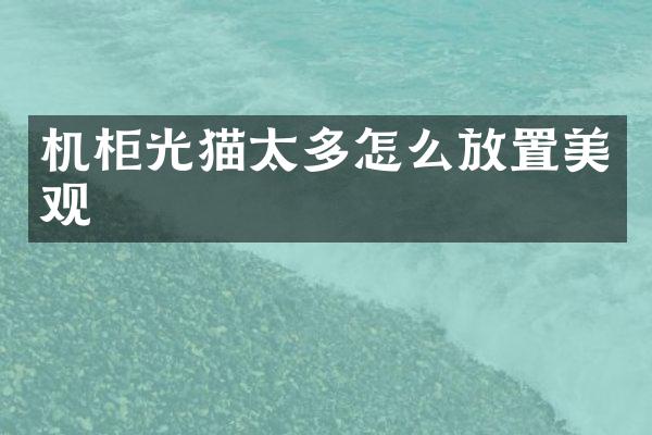 机柜光猫太多怎么放置美观