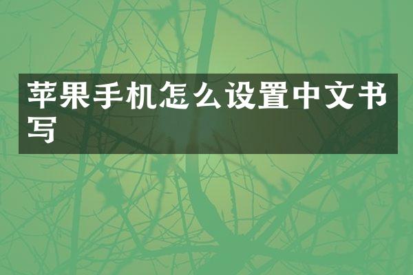 苹果手机怎么设置中文书写