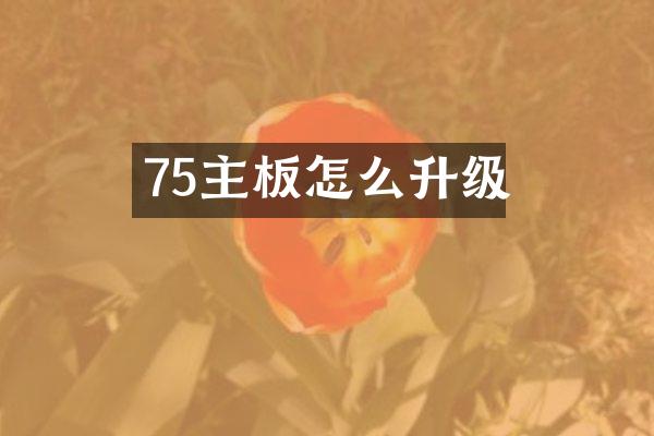 75主板怎么升级