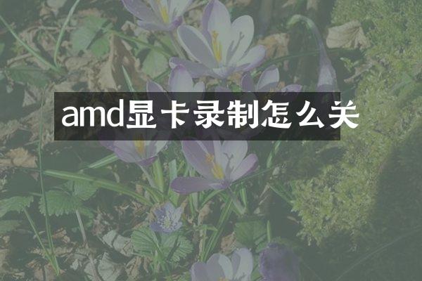 amd显卡录制怎么关
