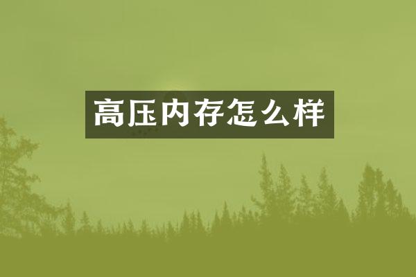 高压内存怎么样