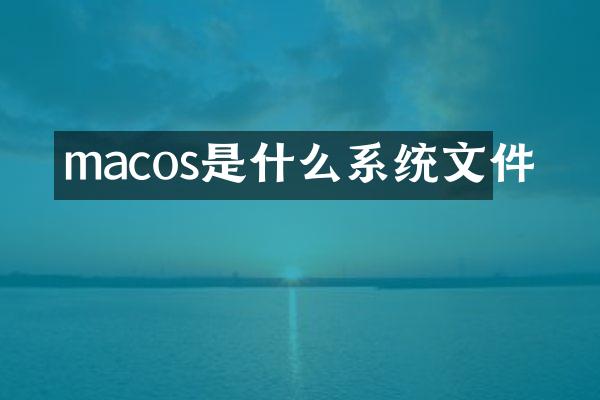 macos是什么系统文件