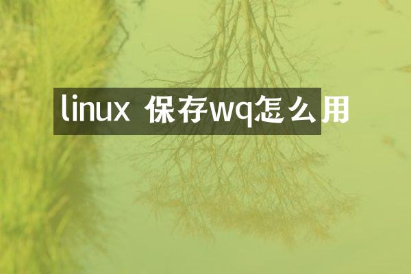 linux 保存wq怎么用