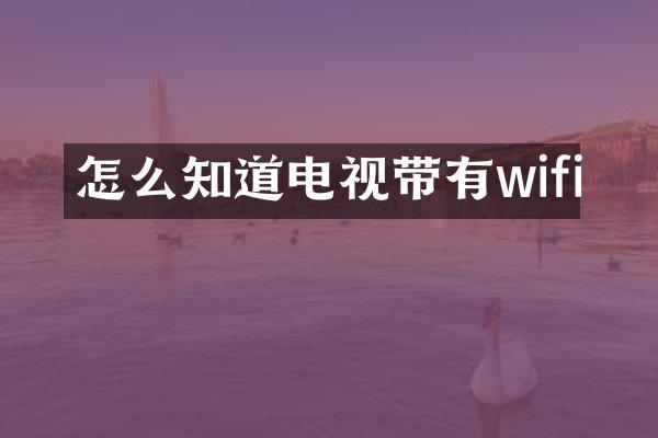 怎么知道电视带有wifi