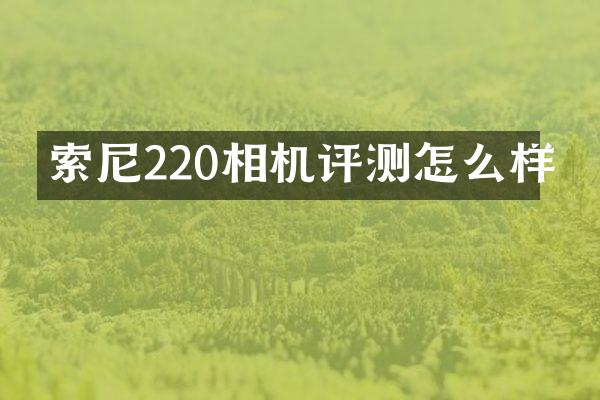 220相机评测怎么样