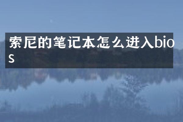 的笔记本怎么进入bios