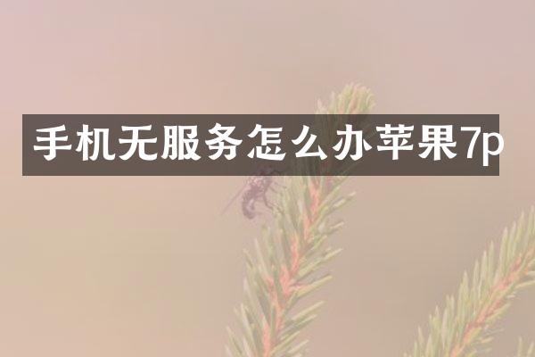 手机无服务怎么办苹果7p