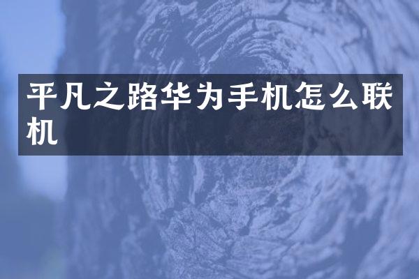 平凡之路华为手机怎么联机