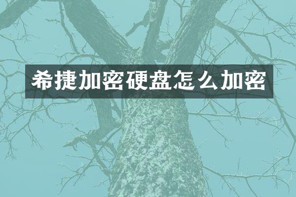 希捷加密硬盘怎么加密