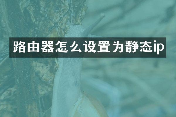 路由器怎么设置为静态ip