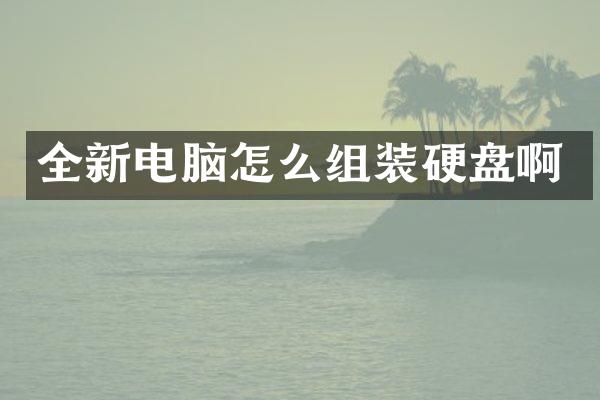 全新电脑怎么组装硬盘啊