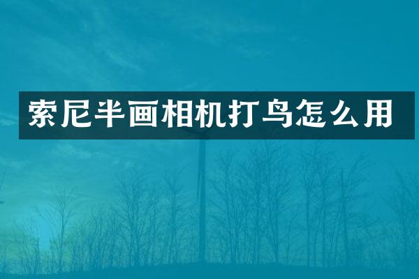 半画相机打鸟怎么用
