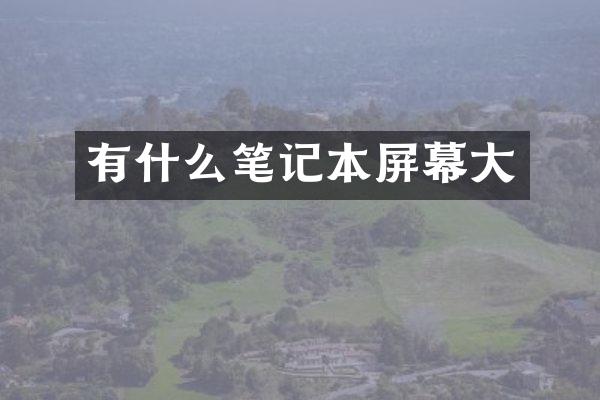 有什么笔记本屏幕大