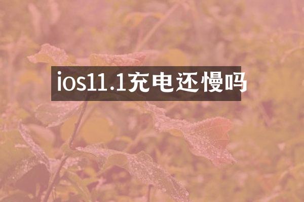 ios11.1充电还慢吗