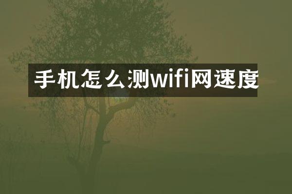手机怎么测wifi网速度