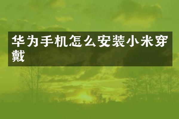 华为手机怎么安装小米穿戴
