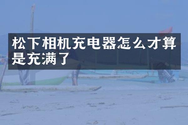 相机充电器怎么才算是充满了