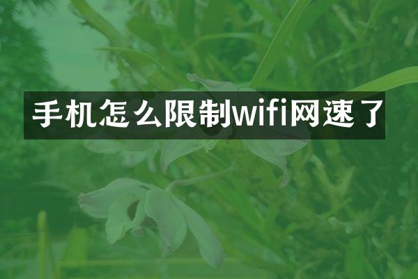 手机怎么限制wifi网速了
