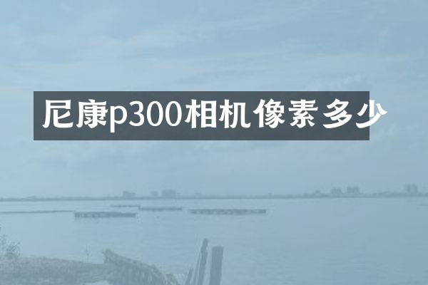 尼康p300相机像素多少