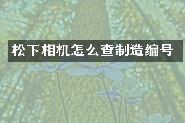 相机怎么查制造编号