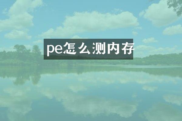 pe怎么测内存