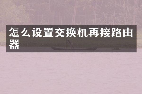 怎么设置交换机再接路由器