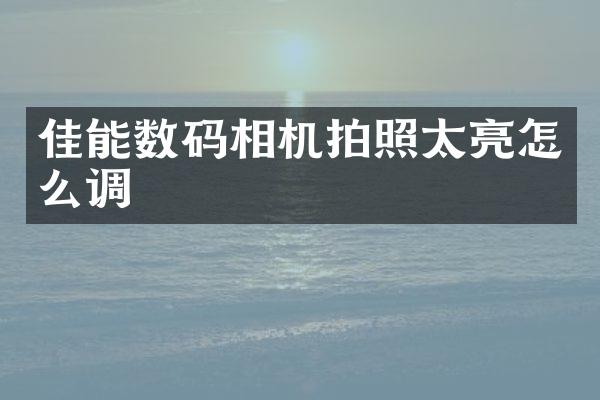 佳能数码相机拍照太亮怎么调