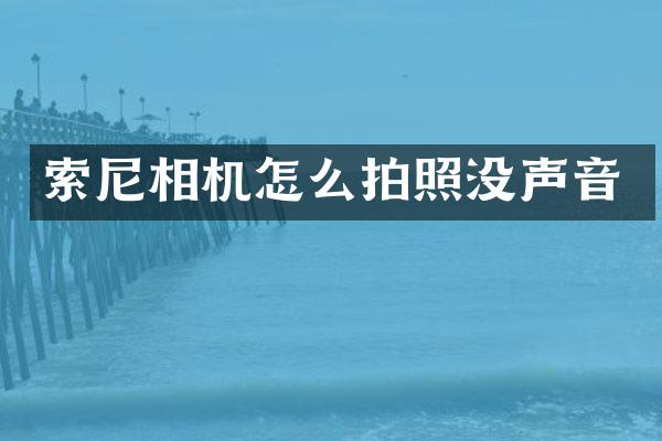 相机怎么拍照没声音