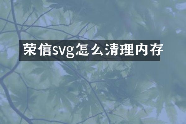 荣信svg怎么清理内存