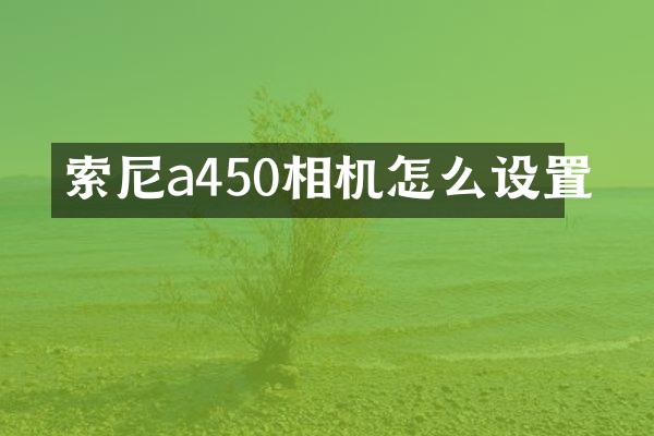 a450相机怎么设置