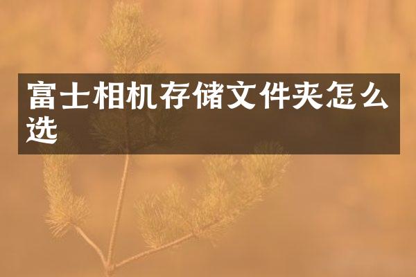 富士相机存储文件夹怎么选