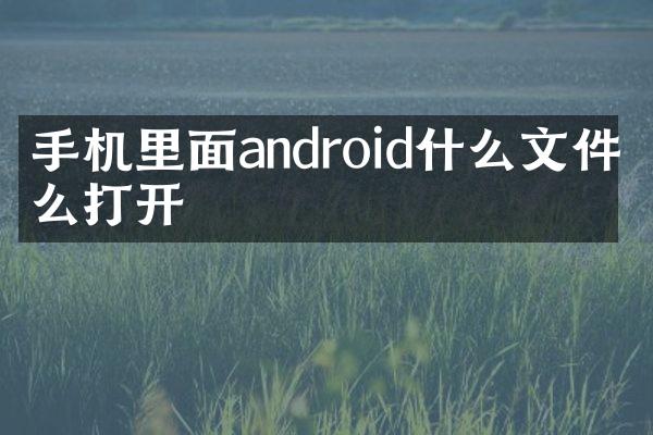 手机里面android什么文件怎么打开