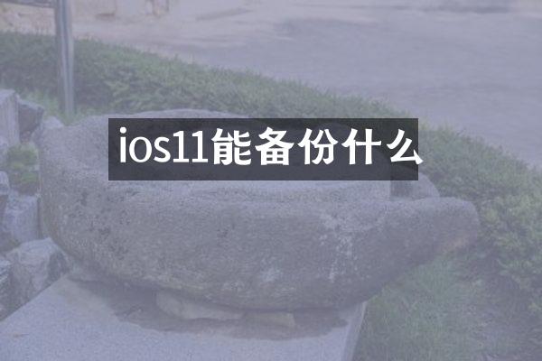 ios11能备份什么