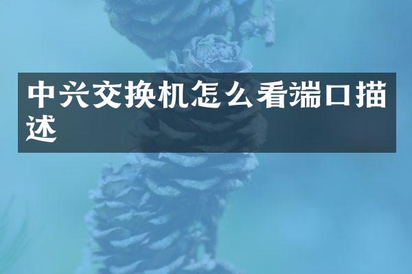 中兴交换机怎么看端口描述