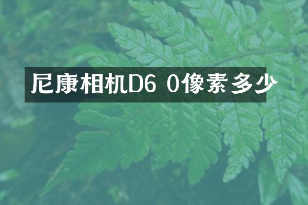 尼康相机D6 0像素多少