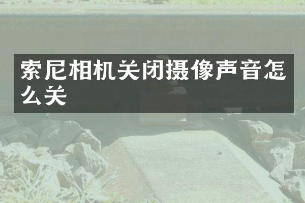 相机关闭摄像声音怎么关