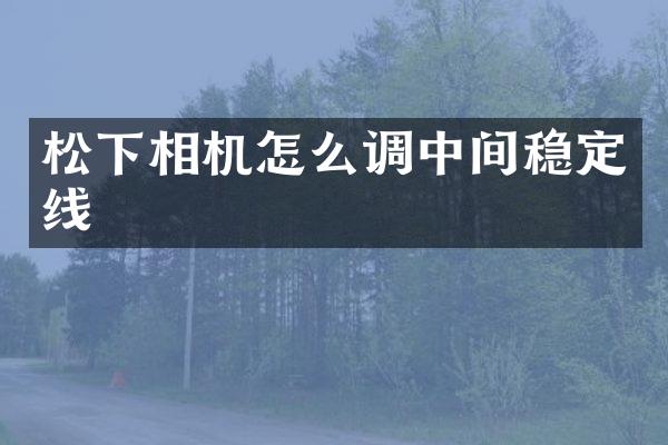 相机怎么调中间稳定线