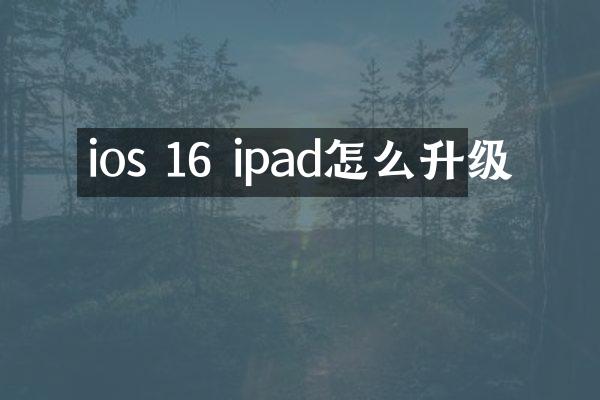 ios 16 ipad怎么升级