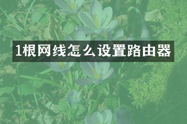 1根网线怎么设置路由器