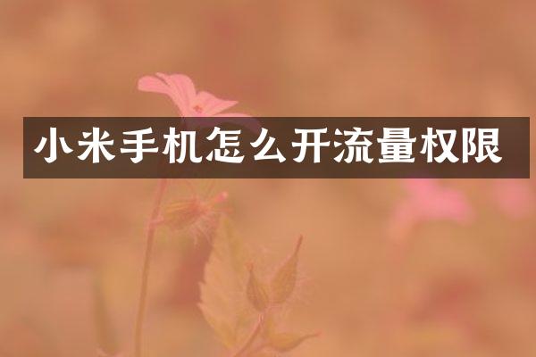 小米手机怎么开流量权限