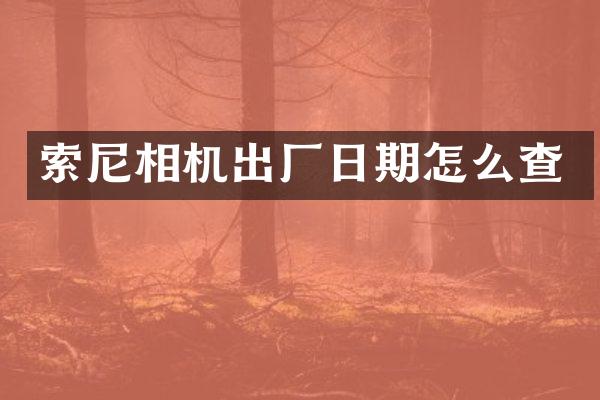 相机出厂日期怎么查