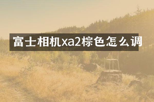 富士相机xa2棕色怎么调