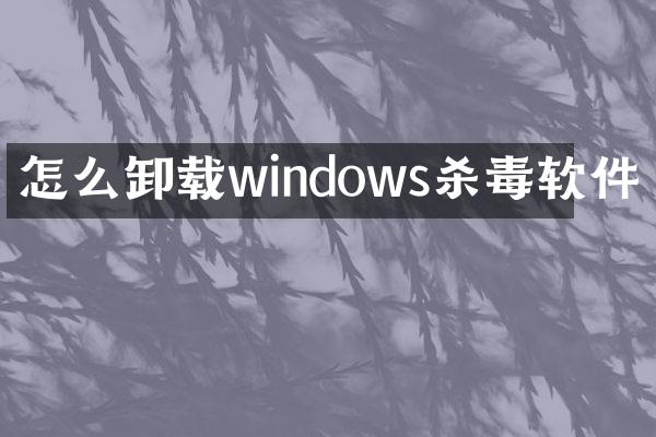 怎么卸载windows软件