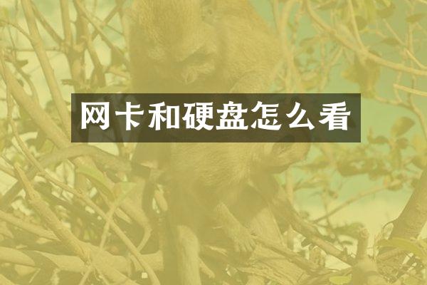网卡和硬盘怎么看
