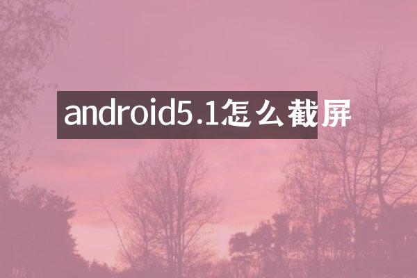android5.1怎么截屏