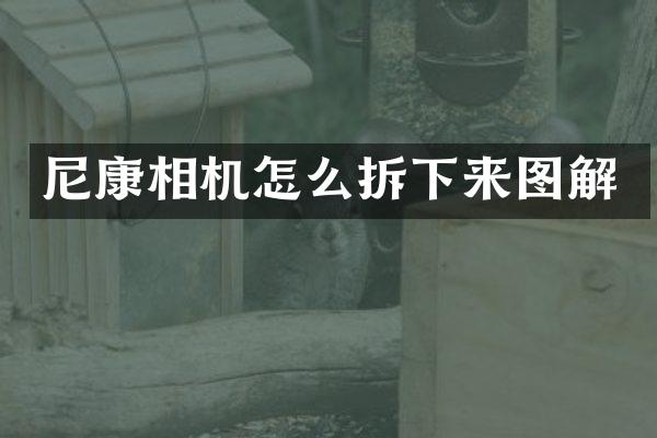尼康相机怎么拆下来图解