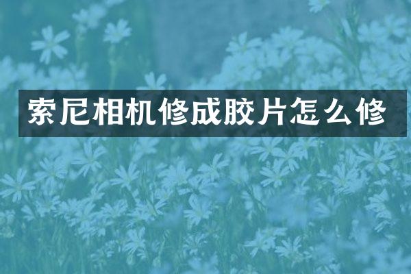 相机修成胶片怎么修