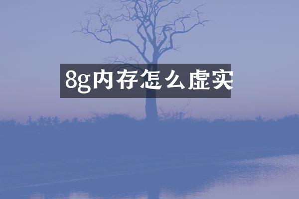 8g内存怎么虚实