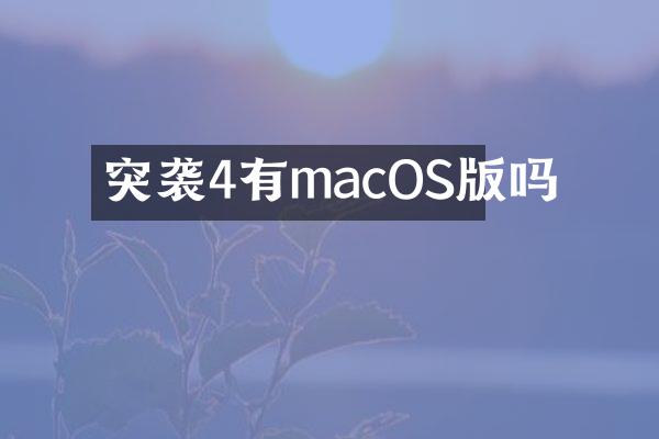 突袭4有macOS版吗